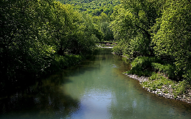 포토 JPG 해외이미지 나무 구름 자연 하늘 낚시 풍경 사람없음 초록색 물 여름 파란색 강 반사 흐름 개울 그리너리 해외202004 해외포토 자연요소 식물 계절 컬러 컨셉 레저 생태계 파일형식 트랜드컬러 이미지허브