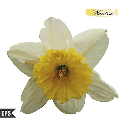 EPS 해외이미지 식물 디자인 배너 계절 꽃잎 꽃 실루엣 종이 꽃다발 백그라운드 잎 꽃무늬 패턴 일러스트 자연 벽지 추상 부활절 미술 장식 초록색 여름 컬러풀 태양 노란색 유행 스파 봄 활발 수확 벚꽃 흰색 인사 신용카드 개화 만화 심볼 그림 질감 복고 수선화 고립 해외202004 해외일러스트 자연요소 기념일 컬러 컨셉 무늬 농업 문화예술 촬영기법 금융 예절 생태계 파일형식 벡터 이미지허브