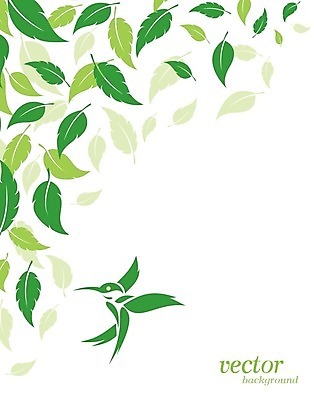 EPS 해외이미지 나무 식물 디자인 배너 백그라운드 잎 패턴 일러스트 자연 벽지 조류 바람 추상 초록색 여름 우주 환경 봄 활발 성장 나뭇가지 신선 선택 숲 에코 내추럴 벌새 생태학 해외202004 해외일러스트 자연요소 동물 계절 교육 컬러 컨셉 무늬 날씨 생태계 파일형식 벡터 이미지허브