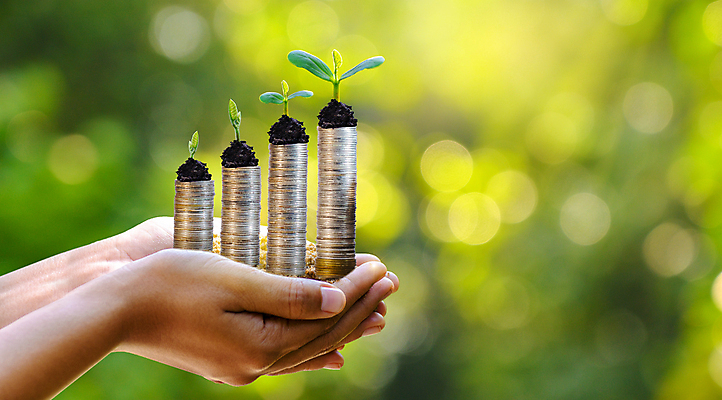 포토 JPG 해외이미지 나무 식물 손 백그라운드 컨셉 잎 돈 비즈니스 자연 성공 사람없음 초록색 금융 경제 쌓기 환경 동전 저축 성장 흰색 잡기 절약 재산 보호 은색 에코 투자 이익 회계 진행 개발 돌봄 생태학 수입 해외202004 해외포토 교육 컬러 모션 신체부위 생태계 파일형식 이미지허브