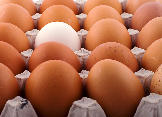 포토 JPG 해외이미지 음식 백그라운드 다이어트 식이요법 사람없음 갈색 계란 식사 치킨 흰색 컨테이너 포장지 날것 패키지 짐싸기 판지 포장소품 해외202004 해외포토 산업 컬러 포장 건강 알 오브젝트 닭고기요리 포장재료 파일형식 이미지허브