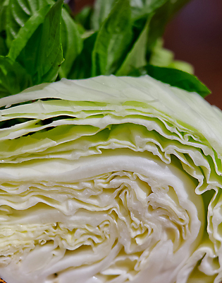 포토 JPG 해외이미지 잡화 음료 음식 채소 재료 부분 태국 건강 사람없음 초록색 샐러드 흰색 신선 메뉴 유기농 양배추 날것 슬라이스 내추럴 고립 채식주의자 해외202004 해외포토 웰빙 아시아 컬러 채식 파일형식 이미지허브