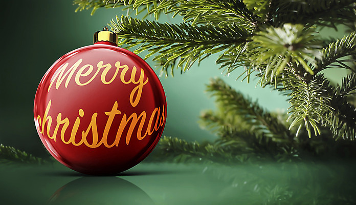 포토 JPG 해외이미지 나무 전통 계절 행복 리본 백그라운드 크리스마스장식 크리스마스 겨울 공 휴가 기념 사람없음 장식 초록색 빛 컬러풀 파티 축제 장식볼 나뭇가지 축하 소나무 원형 황금 닫기 12월 심볼 심플 상록수 전나무 노엘 여의주 진짜 해외202004 해외포토 도형 식물 기념일 감정 컬러 컨셉 모션 이벤트 날짜 파일형식 이미지허브