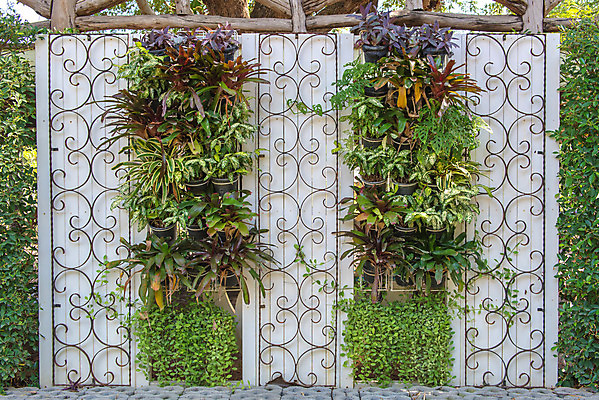 포토 JPG 해외이미지 나무 식물 공원 벽 백그라운드 잎 꽃무늬 패턴 자연 사람없음 야외 초록색 울타리 환경 정원 봄 성장 나뭇가지 신선 군중 숲 유기농 질감 내추럴 생태학 인공 많음 해외202004 해외포토 웰빙 계절 공공시설 교육 꽃 컬러 컨셉 무늬 사람 담장 생태계 파일형식 이미지허브