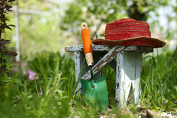 포토 JPG 해외이미지 식물 공원 컨셉 잎 농업 자연 휴식 풍경 사람없음 초록색 여름 정원 침묵 봄 성장 공구 시골 신선 업무 모종삽 삽 국자 유기농 원예 내추럴 개발 돌봄 땅바닥 심기 해외202004 해외포토 웰빙 계절 공공시설 산업 컬러 모션 주방용품 바닥 취미 소리 도구 작업 생태계 파일형식 이미지허브