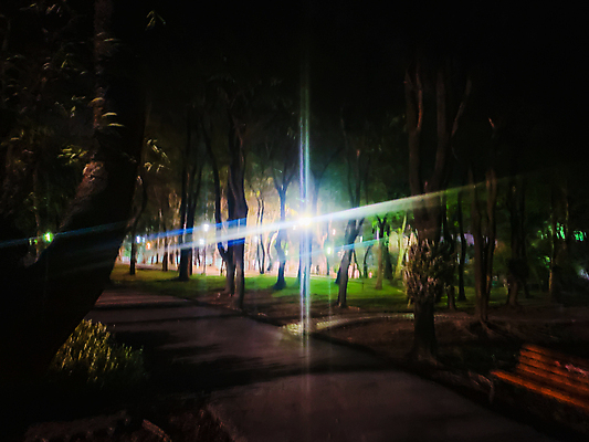 포토 JPG 해외이미지 나무 식물 계절 공원 도로 백그라운드 잎 밭 자연 벽지 추상 휴식 거리 사람 풍경 사람없음 야외 초록색 여름 빛 컬러풀 햇빛 파티 환경 정원 검은색 어둠 봄 흰색 도시 원형 그룹 야간 저녁 소프트포커스 만족 보케 내추럴 블러 해외202004 해외포토 자연요소 도형 공공시설 감정 길 컬러 컨셉 무늬 농업 교통시설 촬영기법 이벤트 태양 생태계 파일형식 이미지허브