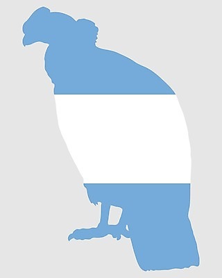 EPS 해외이미지 동물 배너 실루엣 백그라운드 일러스트 조류 새로움 파란색 세계 미국 흰색 깃발 심볼 사인 남쪽 아르헨티나 고립 동물상 전국 해외202004 해외일러스트 컬러 컨셉 북아메리카 촬영기법 조형물 남아메리카 방향 파일형식 벡터 아메리카 미술 문화예술 대륙 이미지허브