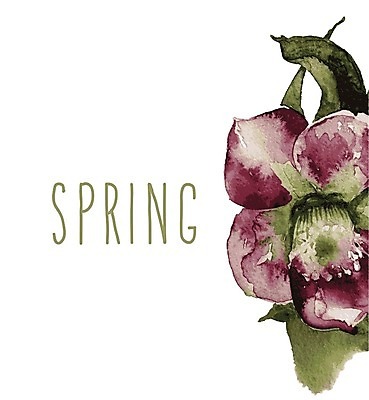 EPS 해외이미지 식물 디자인 계절 꽃잎 꽃 종이 분홍색 꽃다발 백그라운드 잎 꽃무늬 일러스트 자연 벽지 추상 수채화 미술 그래픽 장식 초록색 여름 컬러풀 노란색 보라색 스파 페인트 봄 수확 벚꽃 붓 그림 질감 내추럴 고립 그런지 원고 제라늄 효과 해외202004 해외일러스트 컬러 무늬 농업 문화예술 생태계 파일형식 벡터 이미지허브