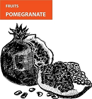 EPS 해외이미지 디자인 음식 조각 백그라운드 과일 일러스트 자연 흑백 건강 미술 씨앗 그래픽 장식 빨간색 주방 검은색 주스 봄 수확 흰색 신선 오픈 달콤 맛 낙서 스케치 심볼 오브젝트 그림 복고 석류 내추럴 고립 바이오 숙성 옛날 채식주의자 해외202004 해외일러스트 식물 계절 음료 컬러 컨셉 농업 문화예술 촬영기법 생태계 채식 파일형식 벡터 이미지허브