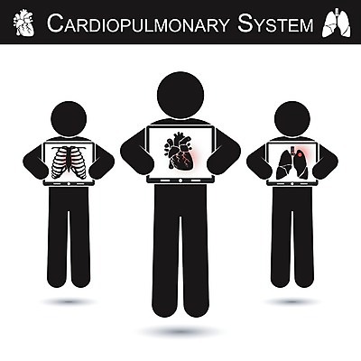 EPS 해외이미지 실루엣 신체 일러스트 뼈 엑스레이 건강 병원 사람 검은색 환자 의사 광선 흰색 하트 심장 잡기 막대기 오르간 플랫 질병 X 흉부 만화 필름 갈비뼈 고립 궤 돌봄 해외202004 해외일러스트 모양 알파벳 컬러 의학 모션 촬영기법 의료진 장기_의학 건반악기 호흡기관 파일형식 벡터 이미지허브