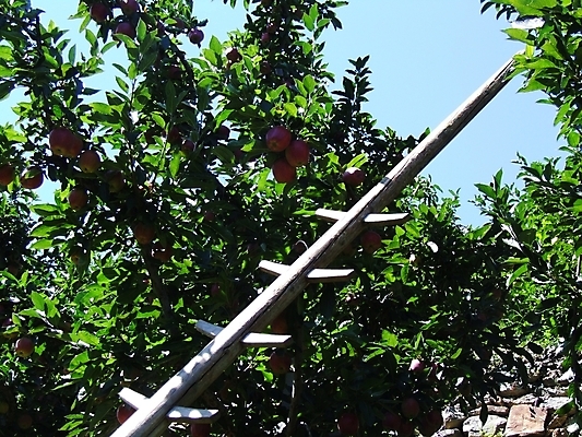 포토 JPG 해외이미지 사람없음 해외202004 해외포토 파일형식 이미지허브