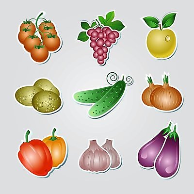 EPS 해외이미지 배너 음식 백그라운드 스티커 잎 농업 토마토 채소 과일 일러스트 자연 포도 가지 양파 오이 감자 건강 마늘 미술 웃음 빨간색 초록색 빛 세트 신선 그룹 사과 수집 먹기 심볼 상쾌 그림 유기농 날것 클립 후추 생태학 숙성 식용 채식주의자 해외202004 해외일러스트 식물 웰빙 교육 감정 산업 컬러 모션 문화예술 표정 향신료 생태계 채식 파일형식 벡터 이미지허브