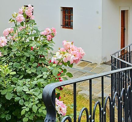 포토 JPG 해외이미지 식물 꽃잎 꽃 분홍색 꽃다발 결혼 백그라운드 잎 꽃무늬 창문 자연 결혼식 휴가 선물 사랑 사람없음 야외 장식 빨간색 초록색 컬러풀 장미 정원 벚꽃 발코니 흰색 축하 신선 우아함 다발 배열 아로마 약혼 고립 엘리먼트 철책 파스텔톤 해외202004 해외포토 감정 컬러 컨셉 무늬 이벤트 생태계 약속 파일형식 이미지허브