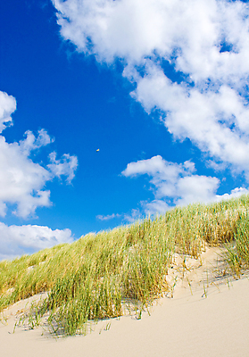 포토 JPG 해외이미지 구름 유럽 모래 바다 섬 여행 자연 하늘 바람 날씨 휴가 독일 풍경 사람없음 야외 초록색 여름 파란색 맑음 봄 모래언덕 네덜란드 북쪽 해외202004 해외포토 자연요소 계절 나라 컬러 방향 언덕 생태계 파일형식 이미지허브
