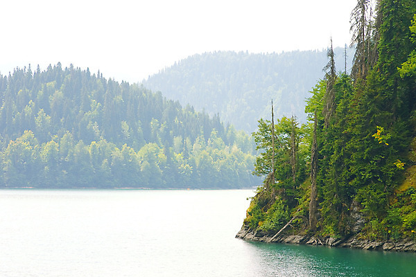 포토 JPG 해외이미지 나무 식물 구름 공원 호수 여행 잎 자연 하늘 휴가 산 파노라마 풍경 사람없음 야외 초록색 물 여름 파란색 강 햇빛 반사 환경 침묵 봄 흐름 안개 가을 시골 소나무 개울 황무지 보호 숲 언덕 장면 지역 상록수 전국 해외202004 해외포토 자연요소 계절 공공시설 컬러 컨셉 날씨 촬영기법 태양 소리 생태계 파일형식 이미지허브