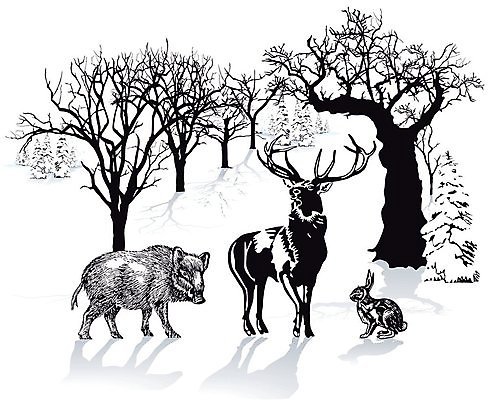 EPS 해외이미지 동물 공원 실루엣 야생동물 백그라운드 겨울 밭 일러스트 자연 벽지 아침 사슴 뿔 파노라마 풍경 목재 환경 달러 검은색 흰색 토끼 보호 발사 바퀴자국 사냥 윤곽 조심 내추럴 해외202004 해외일러스트 주간 나무 계절 공공시설 컬러 컨셉 돈 농업 재료 포유류 자국 촬영기법 반려동물 생태계 파일형식 벡터 이미지허브