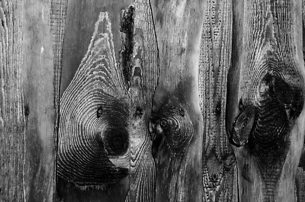 포토 JPG 해외이미지 벽 백그라운드 건축양식 흑백 사람없음 목재 어둠 회색 파편 묘사 질감 옛날 중고 해외202004 해외포토 나무 건축 컬러 재료 촬영기법 파일형식 이미지허브