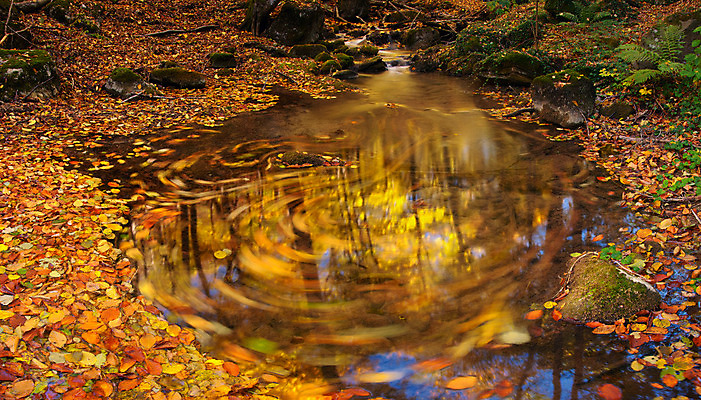 포토 JPG 해외이미지 나무 계절 공원 길 여행 백그라운드 이동 단풍 잎 오렌지 자국 모션 자연 벽지 풍경 사람없음 야외 빨간색 물 빛 강 컬러풀 햇빛 반사 평화 맑음 일몰 산책 활발 하이킹 가을 시골 개울 황금 저녁 숲 그림 강렬 방법 삼림지대 선로 해외202004 해외포토 자연요소 식물 공공시설 컬러 컨셉 과일 레저 날씨 휴식 태양 노을 야간 생태계 파일형식 이미지허브