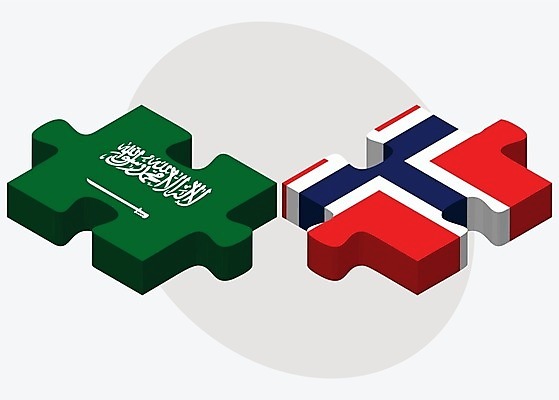 EPS 해외이미지 유럽 조각 컨셉 일러스트 비즈니스 관계 아프리카 협력 함께함 노르웨이 사람 그래픽 3D 깃발 퍼즐 연결 결합 접속 오브젝트 흰배경 아라비아 나눔 해결 사우디아라비아 고립 아랍어 오슬로 왕국 전국 정부 정치 통일 해외202004 해외일러스트 나라 백그라운드 중동 흰색 디지털합성 파일형식 벡터 이미지허브
