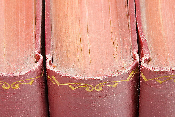 포토 JPG 해외이미지 백그라운드 학교 책장 사람없음 책 독서 골동품 역사 도서관 볼륨 옛날 출판 해외202004 해외포토 교육 가구 파일형식 이미지허브