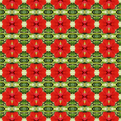 포토 JPG 해외이미지 식물 계절 꽃잎 꽃 백그라운드 잎 꽃무늬 패턴 자연 벽지 추상 사람없음 빨간색 초록색 컬러풀 성장 벚꽃 개화 관목 즐거움 원예 꽃가루 상록수 내추럴 꽃수술 하와이인 히비스커스 해외202004 해외포토 외국인 나무 감정 컬러 무늬 취미 가루 생태계 파일형식 이미지허브