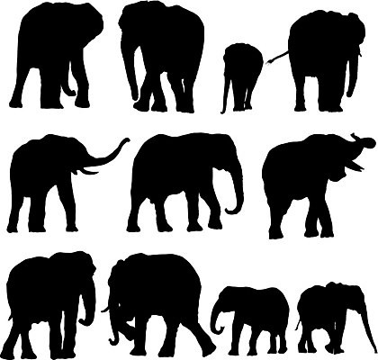EPS 해외이미지 동물 디자인 실루엣 야생동물 백그라운드 일러스트 포유류 자연 코끼리 동물원 미술 그래픽 걷기 검은색 힘 흰색 행운 황무지 큼 서커스 인도인 수집 심볼 사파리 그림 클립 윤곽 고립 세렝게티 해외202004 해외일러스트 외국인 컬러 컨셉 모션 문화예술 촬영기법 동양인 크기 생태계 파일형식 벡터 이미지허브