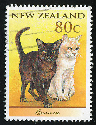 포토 JPG 해외이미지 동물 커플 여자 남자 신체 포유류 자연 봉투 새로움 수염 사람없음 반려동물 머리 수확 골동품 입 메시지 역사 물개 편지 코 복고 꼬리 엽서 귀 우표 기르기 동물상 옛날 인기 총구 버미즈 해외202004 해외포토 컨셉 농업 관계 사람 신체부위 조형물 고양이 바다동물 생태계 돌봄 파일형식 이미지허브