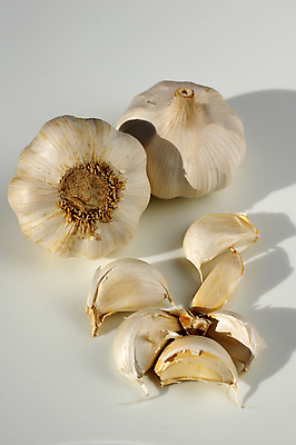 포토 JPG 해외이미지 채소 재료 전구 마늘 요리 사람없음 주방 조미료 맛 허브 유기농 냄새 해외202004 해외포토 식물 웰빙 컨셉 향미료 파일형식 이미지허브