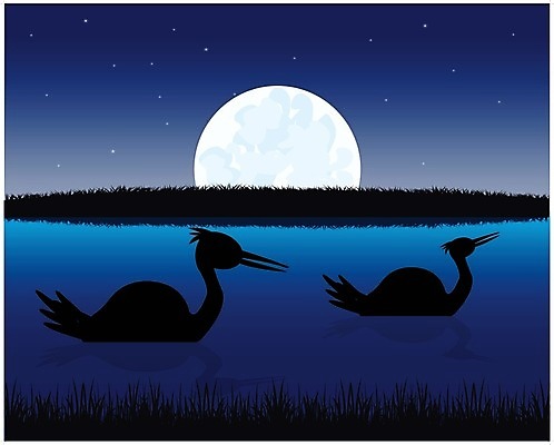 EPS 해외이미지 식물 별 호수 일러스트 자연 조류 풍경 물 여름 강 일몰 달 야간 허브 상승 타입 동물상 황새 해외202004 해외일러스트 자연요소 동물 계절 컨셉 조형물 노을 생태계 파일형식 벡터 이미지허브