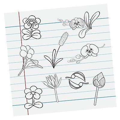 EPS 해외이미지 식물 디자인 꽃 백그라운드 잎 일러스트 자연 추상 그래픽 초록색 세트 봄 벚꽃 흰색 나뭇가지 만화 수집 고립 해외202004 해외일러스트 나무 계절 컬러 무늬 생태계 파일형식 벡터 이미지허브