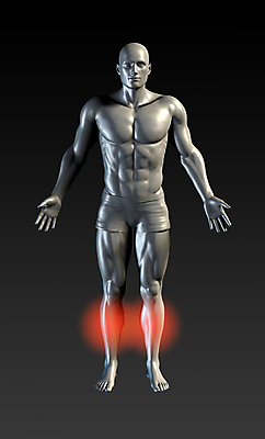 포토 JPG 해외이미지 신체 의학 엑스레이 건강 사람없음 빛 다리 종아리 다리근육 물리치료 정형외과 치유 해외202004 해외포토 근육 병원 신체부위 치료 파일형식 이미지허브