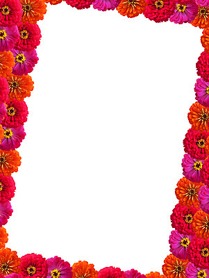 포토 JPG 해외이미지 모양 식물 디자인 꽃잎 꽃 백그라운드 꽃무늬 자연 부활절 프레임 발렌타인데이 사랑 이벤트 사람없음 가로 빨간색 보라색 벚꽃 흰색 축하 그룹 고급 오브젝트 열정 캔버스 뼈대 고립 구성 엘리먼트 해외202004 해외포토 기념일 감정 컬러 컨셉 무늬 데이이벤트 생태계 파일형식 이미지허브