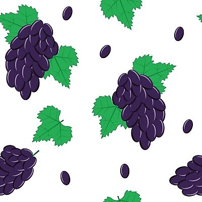 EPS 해외이미지 식물 디자인 계절 열매 음식 백그라운드 잎 꽃무늬 패턴 과일 일러스트 자연 벽지 포도 추상 디저트 수채화 새로움 미술 그래픽 장식 초록색 여름 와인 소용돌이 가을 흰색 나뭇가지 화려 두루마리 다발 그림 질감 포도나무 아이비 내추럴 고립 엘리먼트 인기 스타일 해외202004 해외일러스트 나무 꽃 컬러 컨셉 무늬 문화예술 주류 회오리 과일나무 생태계 파일형식 벡터 이미지허브