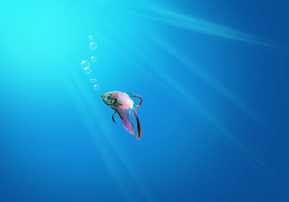 포토 JPG 해외이미지 동물 척추동물 남자 아시아 야생동물 바다 백그라운드 태국 자연 이집트 어류 사람없음 빨간색 초록색 물 파란색 반려동물 환경 바닷속 수중 수영 경쟁 흰색 잠수함 다이빙 꼬리 싸움 청록색 지느러미 상어 수족관 고립 깊이 민물 해외202004 해외포토 자연요소 나라 컬러 컨셉 모션 아프리카 사람 수중동물 수상스포츠 생태계 수중스포츠 파일형식 이미지허브