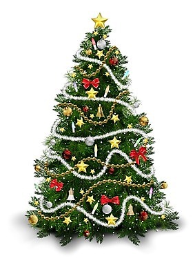 EPS 해외이미지 나무 계절 별 크리스마스장식 크리스마스 겨울 일러스트 전구 휴가 선물 장식 컬러풀 크리스마스트리 축제 장식볼 종 축하 소나무 배열 상록수 침엽수 전나무 고립 크리스마스이브 가문비나무 해외202004 해외일러스트 자연요소 식물 기념일 컬러 컨셉 파일형식 벡터 이미지허브