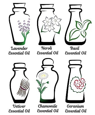 EPS 해외이미지 나무 식물 웰빙 디자인 꽃 잎 일러스트 자연 유리 건강 치료 초록색 세트 라벨 스파 나뭇가지 신선 마사지 액체 상품 허브 심볼 향수 플라스크 명상 사인 유기농 아로마 아로마테라피 바질 테라피 라벤더 고립 돌봄 제라늄 캐모마일 해외202004 해외일러스트 컬러 의학 모션 재질 프레임 실험기구 뷰티 화장품 생태계 파일형식 벡터 이미지허브