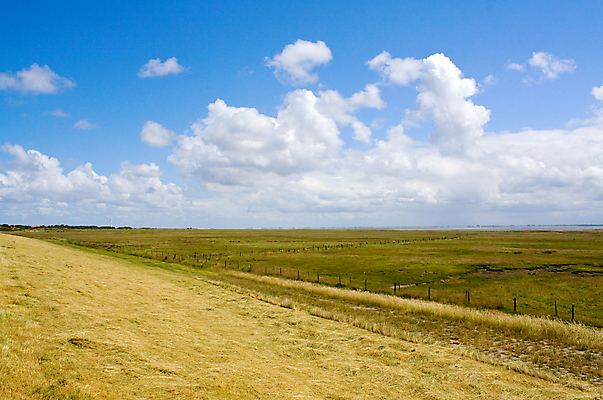 포토 JPG 해외이미지 식물 구름 계절 백그라운드 밭 자연 하늘 바람 날씨 파노라마 풍경 잔디 사람없음 야외 초록색 여름 파란색 빛 컬러풀 햇빛 농장 환경 정원 맑음 봄 활발 흰색 시골 신선 땅 밭일 생태학 수평선 해외202004 해외포토 자연요소 교육 컬러 컨셉 농업 촬영기법 태양 생태계 파일형식 이미지허브
