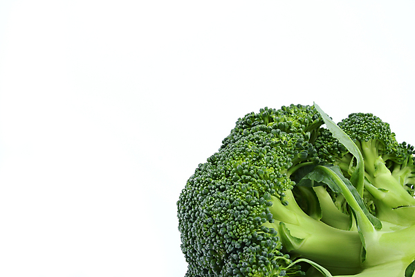 포토 JPG 해외이미지 음식 줄기 잎 다이어트 채소 건강 요리 사람없음 초록색 컬러풀 요식업 저녁식사 흰색 신선 최고 고명 몸무게 브로콜리 날씬함 유기농 날것 칼로리 섬유 성분 내추럴 점심식사 고립 식욕 적자 해외202004 해외포토 식물 웰빙 산업 컬러 식사 직물 몸매 파일형식 이미지허브