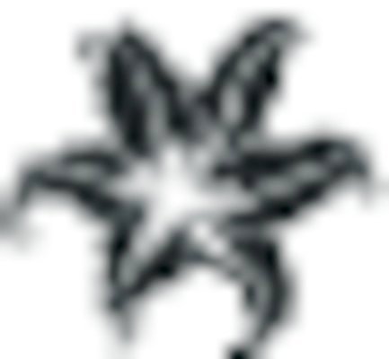 EPS 해외이미지 모양 식물 디자인 꽃잎 꽃 실루엣 꽃무늬 패턴 일러스트 자연 추상 흑백 그래픽 장식 머리 검은색 벚꽃 흰색 우아함 심볼 순수 오브젝트 싱글 그림 복고 윤곽 엘리먼트 해외202004 해외일러스트 컬러 컨셉 무늬 촬영기법 신체부위 생태계 파일형식 벡터 이미지허브