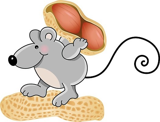 EPS 해외이미지 클립아트 식물 동물 음식 일러스트 재료 건강 그래픽 식사 견과류 껍질 맛 쥐 낟알 만화 땅콩 고립 해외202004 해외일러스트 컨셉 설치류 파일형식 벡터 이미지허브