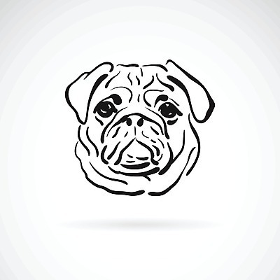 EPS 해외이미지 일러스트 사람없음 반려동물 검은색 흰색 개 강아지 불독 해외202004 해외일러스트 동물 컬러 포유류 파일형식 벡터 이미지허브