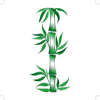 EPS 해외이미지 식물 디자인 문화 백그라운드 잎 일러스트 수채화 미술 사람없음 초록색 대나무 해외202004 해외일러스트 나무 컬러 문화예술 파일형식 벡터 이미지허브