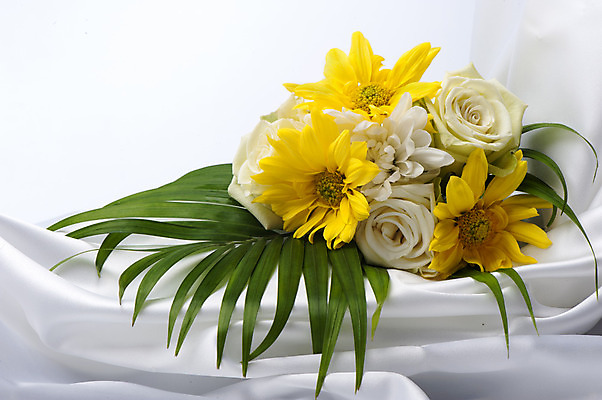 포토 JPG 해외이미지 옷 꽃 파도 백그라운드 패턴 일러스트 침구 벽지 추상 사람없음 장식 빛 장미 유행 흰색 직물 커튼 고급 우아함 매끈함 실크 질감 웨이브 열정 부드러움 해외202004 해외포토 식물 감정 바다 컬러 컨셉 무늬 감각 파일형식 이미지허브