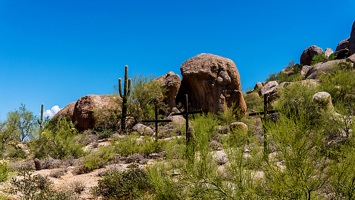 포토 JPG 해외이미지 공원 모래 십자가 자연 하늘 산 선인장 건조 3 풍경 사람없음 야외 계곡 미국 사막 붓 뜨거움 황무지 땅 애리조나 봉황 울퉁불퉁 해외202004 해외포토 식물 공공시설 북아메리카 생태계 파일형식 이미지허브