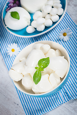 포토 JPG 해외이미지 접시 음식 다이어트 재료 치즈 사람없음 빨간색 초록색 파란색 이탈리아 흰색 신선 사발 맛 배고픔 바질 모짜렐라치즈 해외202004 해외포토 식기 유럽 컬러 컨셉 유제품 건강 사기그릇 파일형식 이미지허브