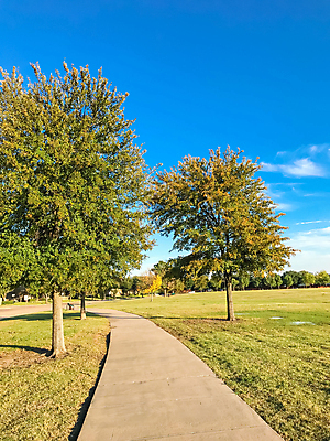 포토 JPG 해외이미지 나무 구름 공원 길 여행 밭 곡선 벤치 자연 하늘 풍경 잔디 사람없음 야외 건물 초록색 파란색 도시풍경 조깅 평화 걷기 우주 환경 정원 맑음 미국 일몰 도시 도심 오솔길 땅 질감 장면 스카이라인 일반 내추럴 굴곡 콘크리트 텍사스 해외202004 해외포토 자연요소 식물 건축물 공공시설 선 컬러 컨셉 북아메리카 농업 의자 모션 날씨 운동 노을 생태계 파일형식 이미지허브