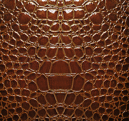 포토 JPG 해외이미지 동물 백그라운드 패턴 가방 파충류 자연 프레임 미술 사람없음 빨간색 갈색 유행 검은색 희망 핸드백 뱀 고급 가죽 피부 질감 눈금 악어 소가죽 수하물 효과 해외202004 해외포토 잡화 감정 컬러 컨셉 무늬 문화예술 신체부위 생태계 파일형식 이미지허브