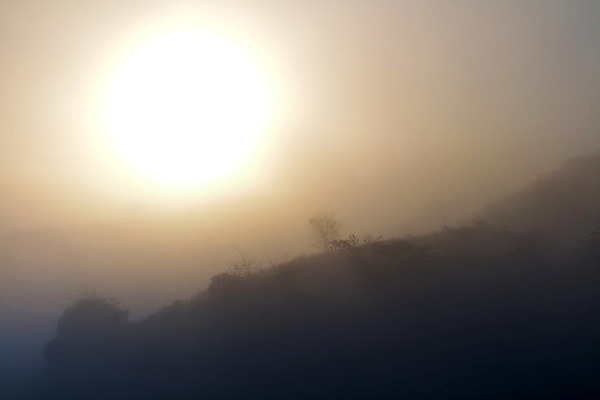 포토 JPG 해외이미지 나무 구름 공원 여행 백그라운드 잎 자연 하늘 아침 산 풍경 사람없음 야외 초록색 일출 환경 일몰 새벽 안개 숲 공상 내추럴 뿌연 전국 절정 해외202004 해외포토 주간 자연요소 식물 공공시설 컬러 날씨 노을 생태계 파일형식 이미지허브