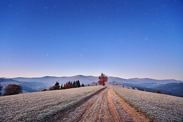 포토 JPG 해외이미지 나무 식물 계절 유럽 별 도로 백그라운드 잎 자연 하늘 아침 산 파노라마 풍경 사람없음 야외 목재 빨간색 파란색 빛 컬러풀 햇빛 노란색 일출 환경 새벽 안개 가을 시골 황금 저녁 숲 11월 언덕 서리 통과 내추럴 웅장함 해외202004 해외포토 주간 자연요소 나라 길 컬러 재료 교통시설 날씨 촬영기법 태양 노을 날짜 야간 생태계 파일형식 이미지허브