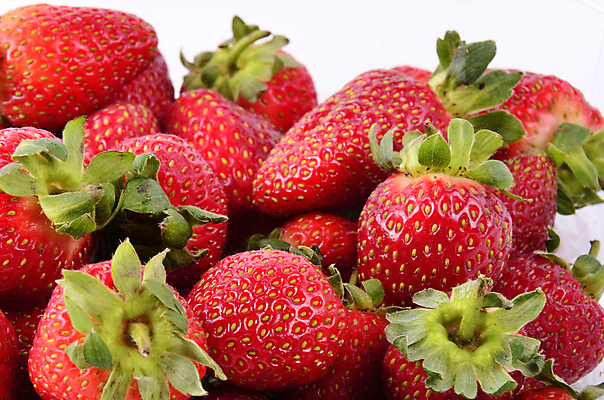 포토 JPG 해외이미지 라이프스타일 열매 음식 백그라운드 과일 자연 딸기 건강 사람없음 가로 빨간색 초록색 빛 컬러풀 활발 흰색 신선 그룹 달콤 맛 수집 먹기 순수 오브젝트 유기농 질감 날것 내추럴 고립 숙성 완벽 채식주의자 해외202004 해외포토 식물 웰빙 컬러 컨셉 모션 생활 생태계 채식 파일형식 이미지허브